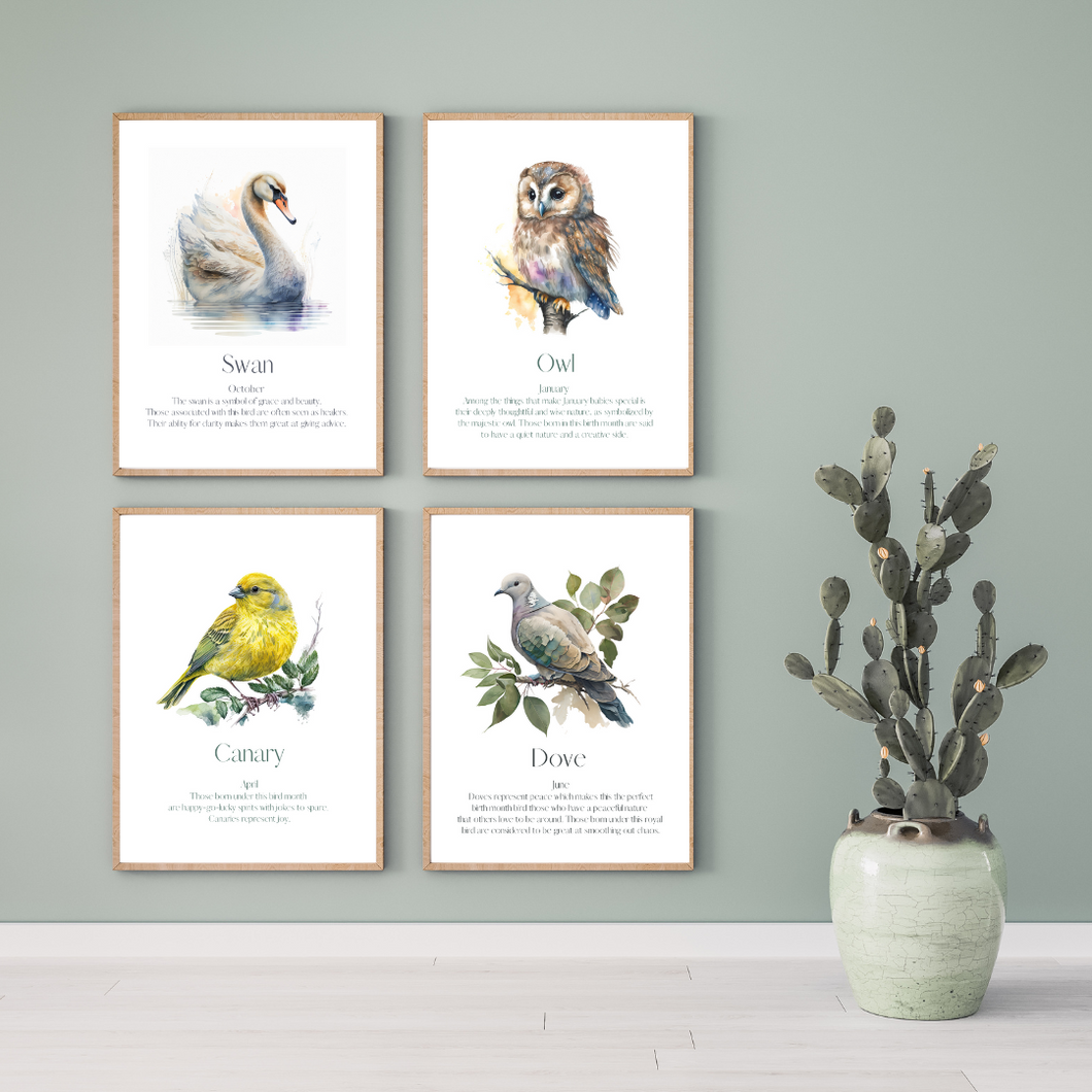 Monthly Birds Wall Art Collection