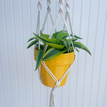 Load image into Gallery viewer, Macrame Plant Holder
