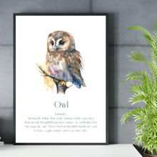 Load image into Gallery viewer, Monthly Birds Wall Art Collection
